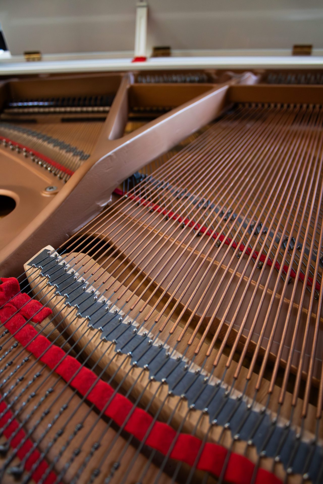 détail-inter-kawai-bl Kawai GE1