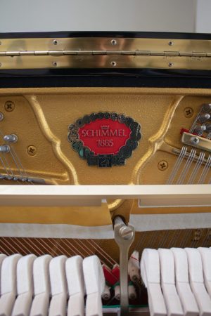 détail-schimmel Schimmel Mario Ratko Delorko