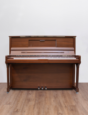 face Feurich 123 Vienna Expo