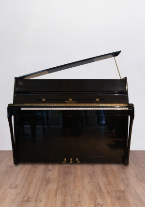 gaveau-face.DP Gaveau-Schimmel Concorde