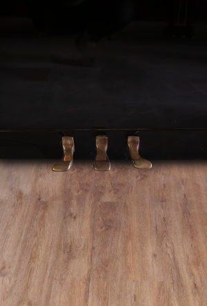 Schimmel Mario Ratko Delorko