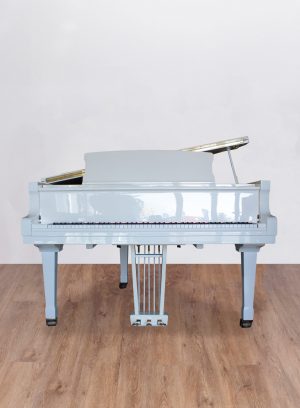 petrof-BL-queu-face (1) Petrof PIV Récital