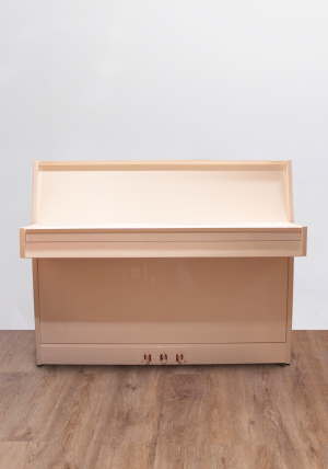 rameau-bl-fermé Rameau Beaucaire Renner SP