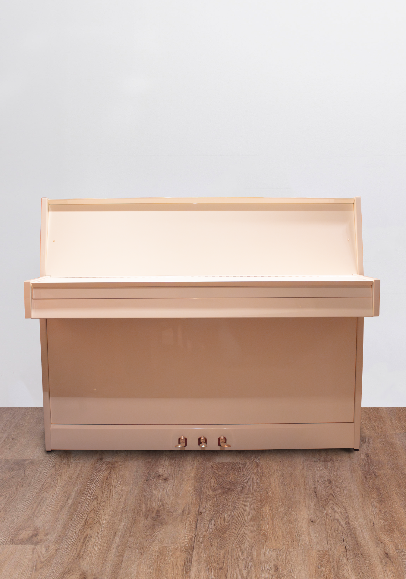 rameau-bl-fermé Rameau Beaucaire Renner SP