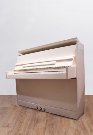 Rameau Beaucaire Renner SP