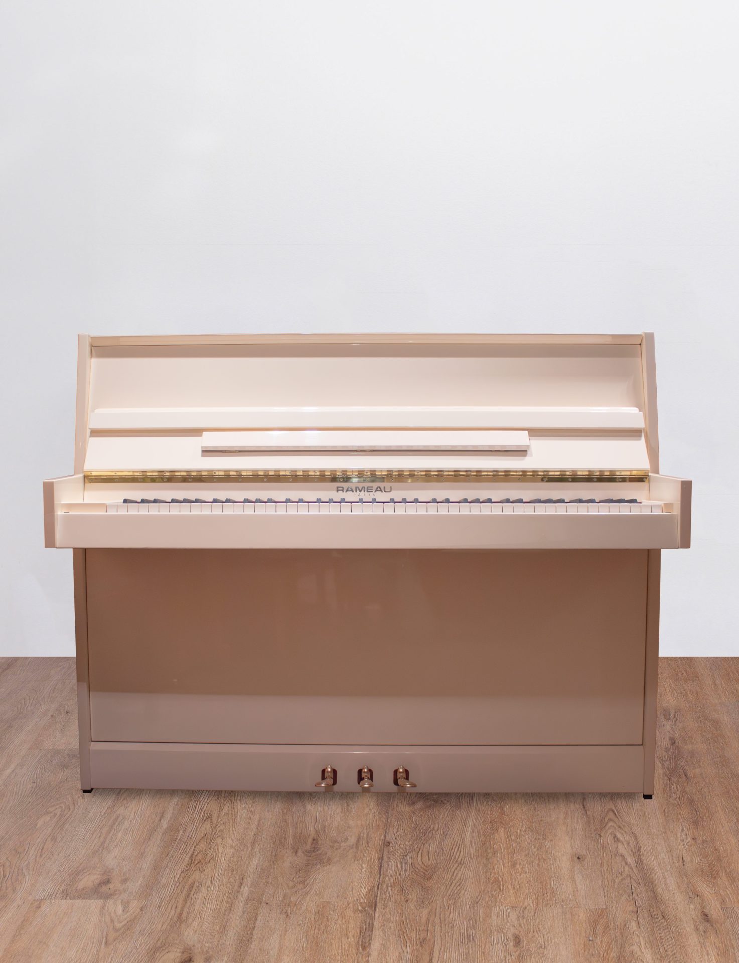 rameau-blanc-face Rameau Beaucaire Renner SP