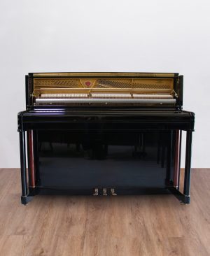 schimmel-120-noir_ronce.DP Schimmel Mario Ratko Delorko