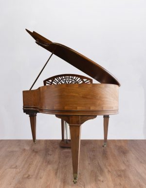 Gaveau-S-dos Gaveau Soleil Palissandre