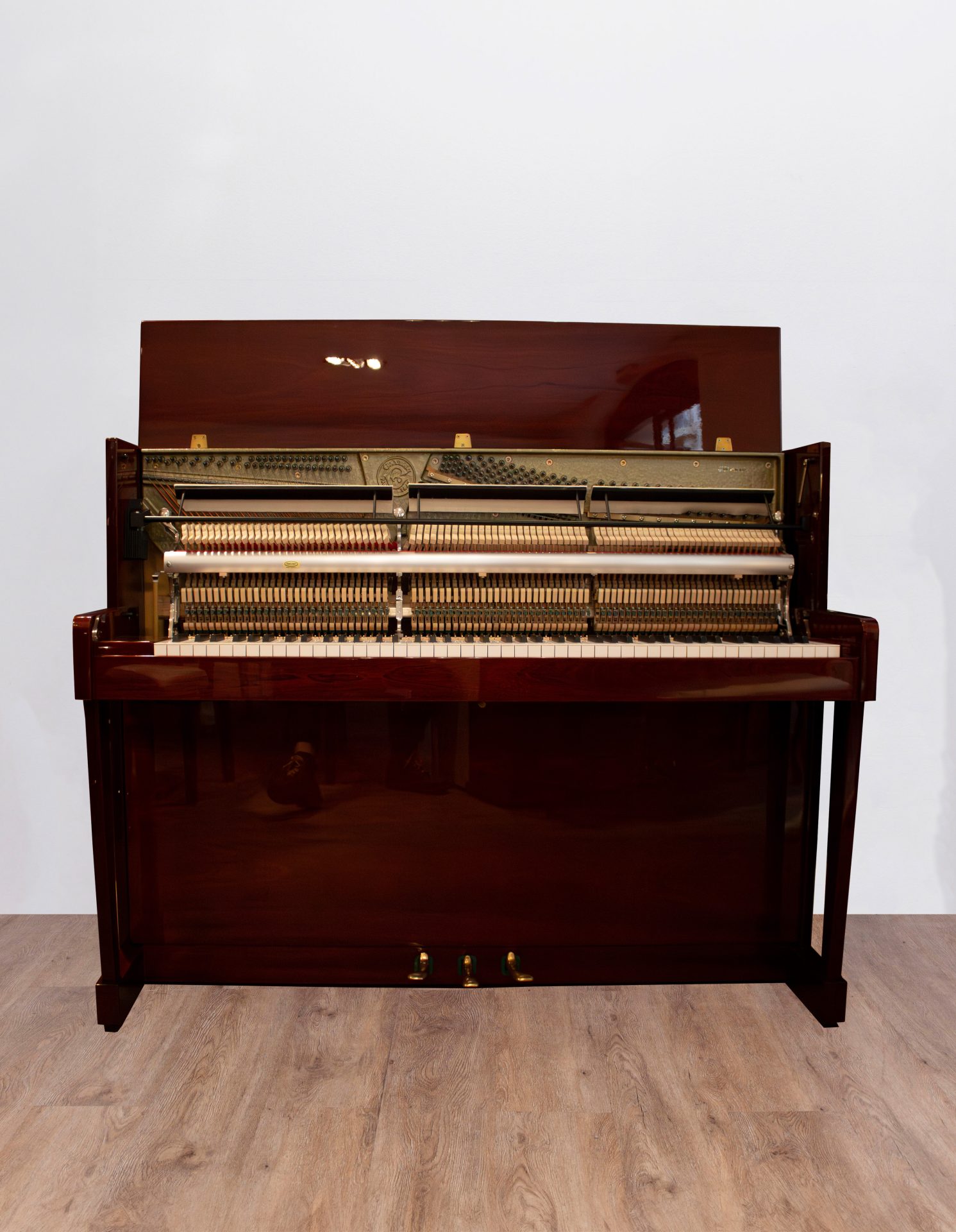 Gaveau-ouvert-renner Gaveau Allegro