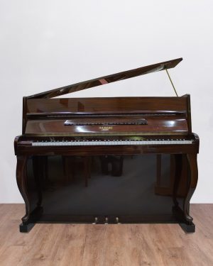 Rameau-acajou-face Rameau Beaugency