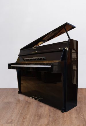 Rippen-quart.DP Rippen-Bruckner Modern