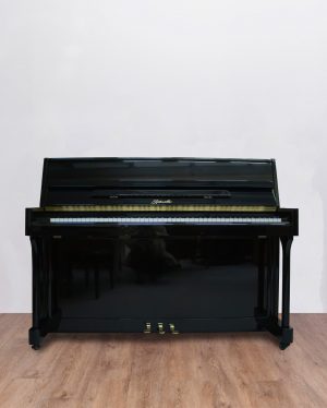 Ritmuller-110 Ritmuller UP 110 R2 Expo