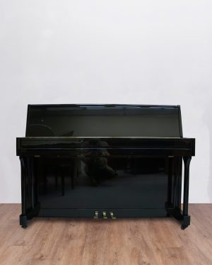 Ritmuller UP 110 R2 Expo