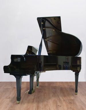 Ritmuller-autrecoté Ritmuller 160 RS EXPO