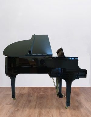 Ritmuller-coté Ritmuller 160 RS EXPO