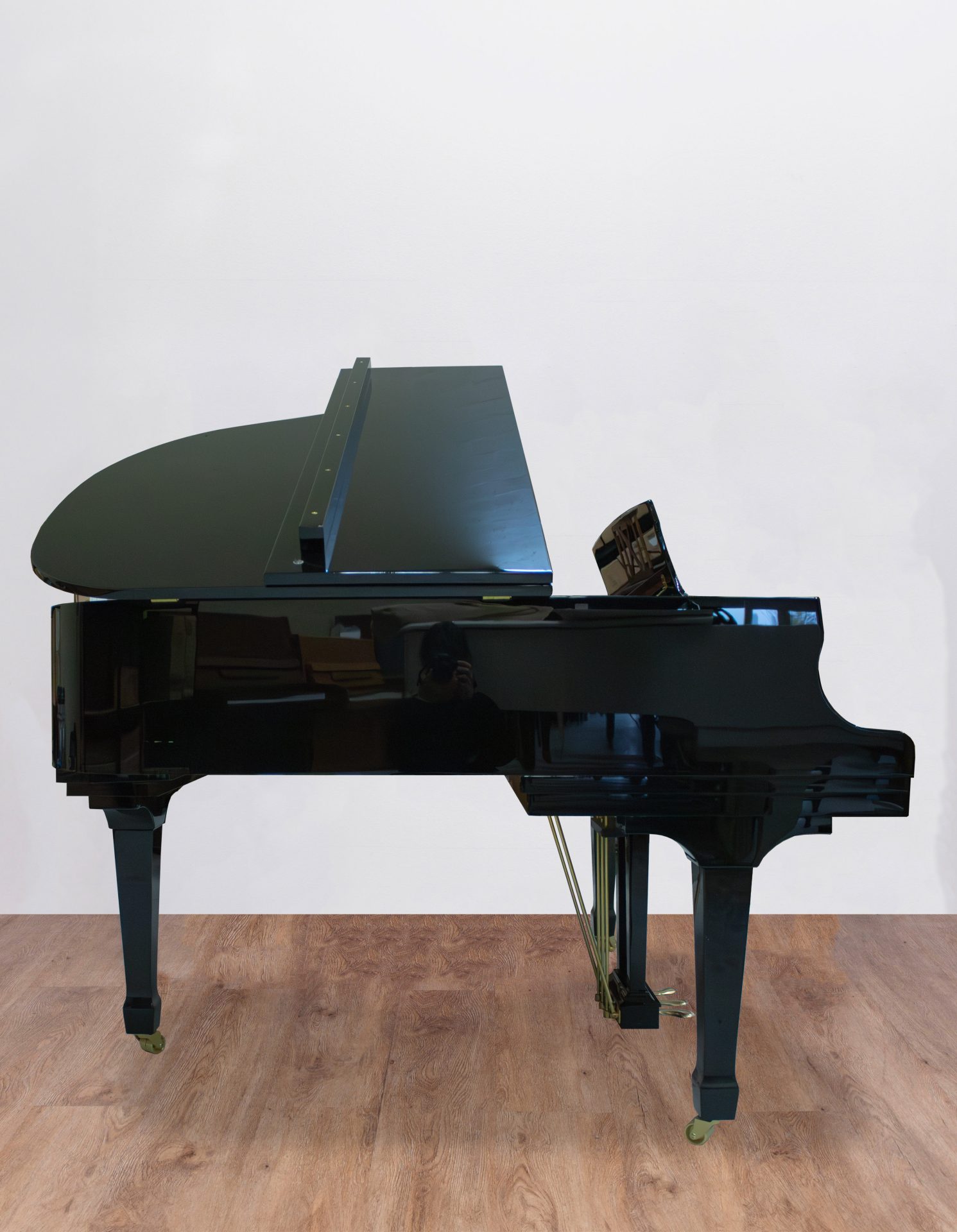 Ritmuller-coté Ritmuller 160 RS EXPO