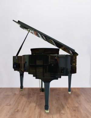 Ritmuller 160 RS EXPO