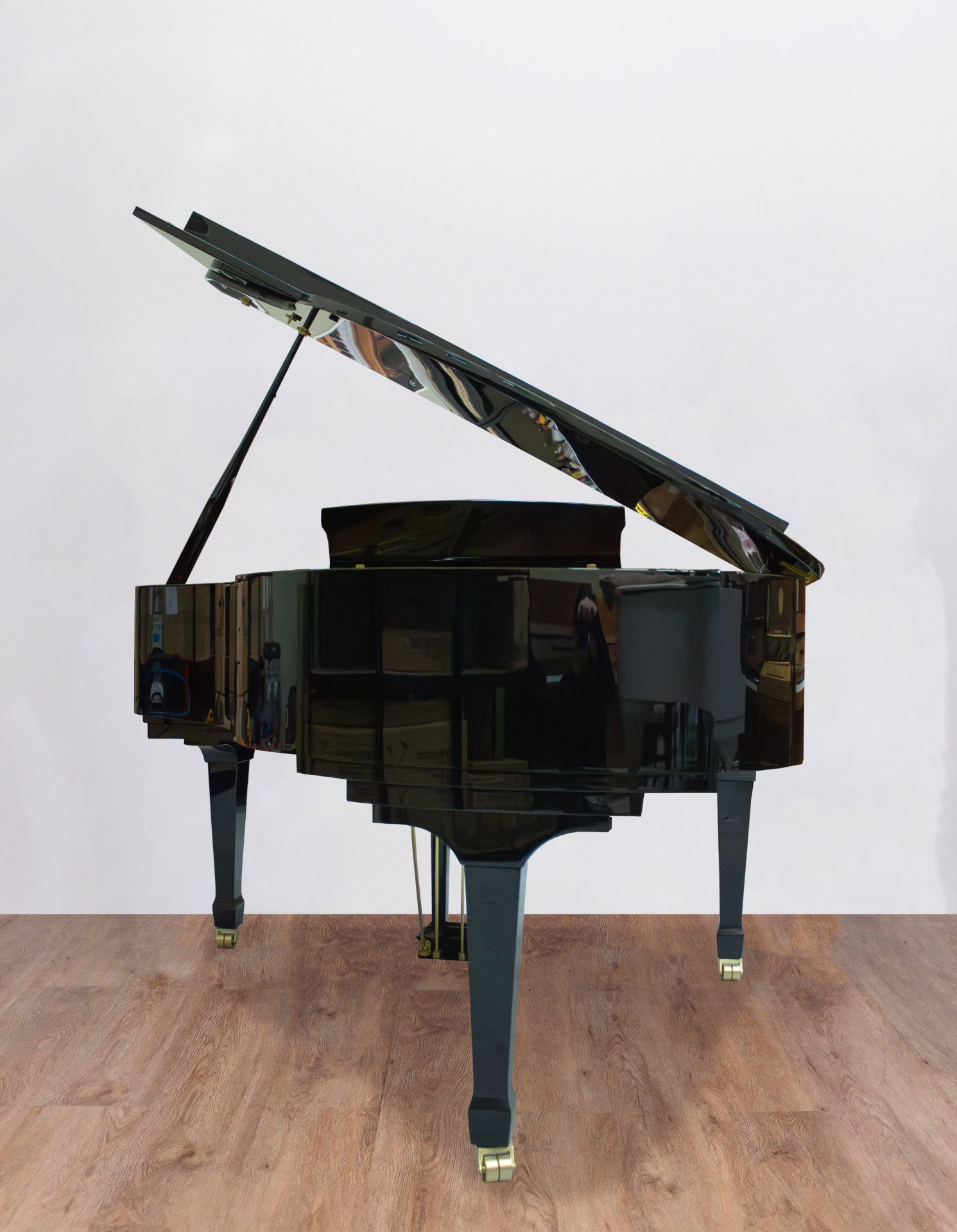 Ritmuller-dos Ritmuller 160 RS EXPO