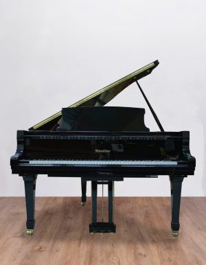 Ritmuller163-face Ritmuller 160 RS EXPO