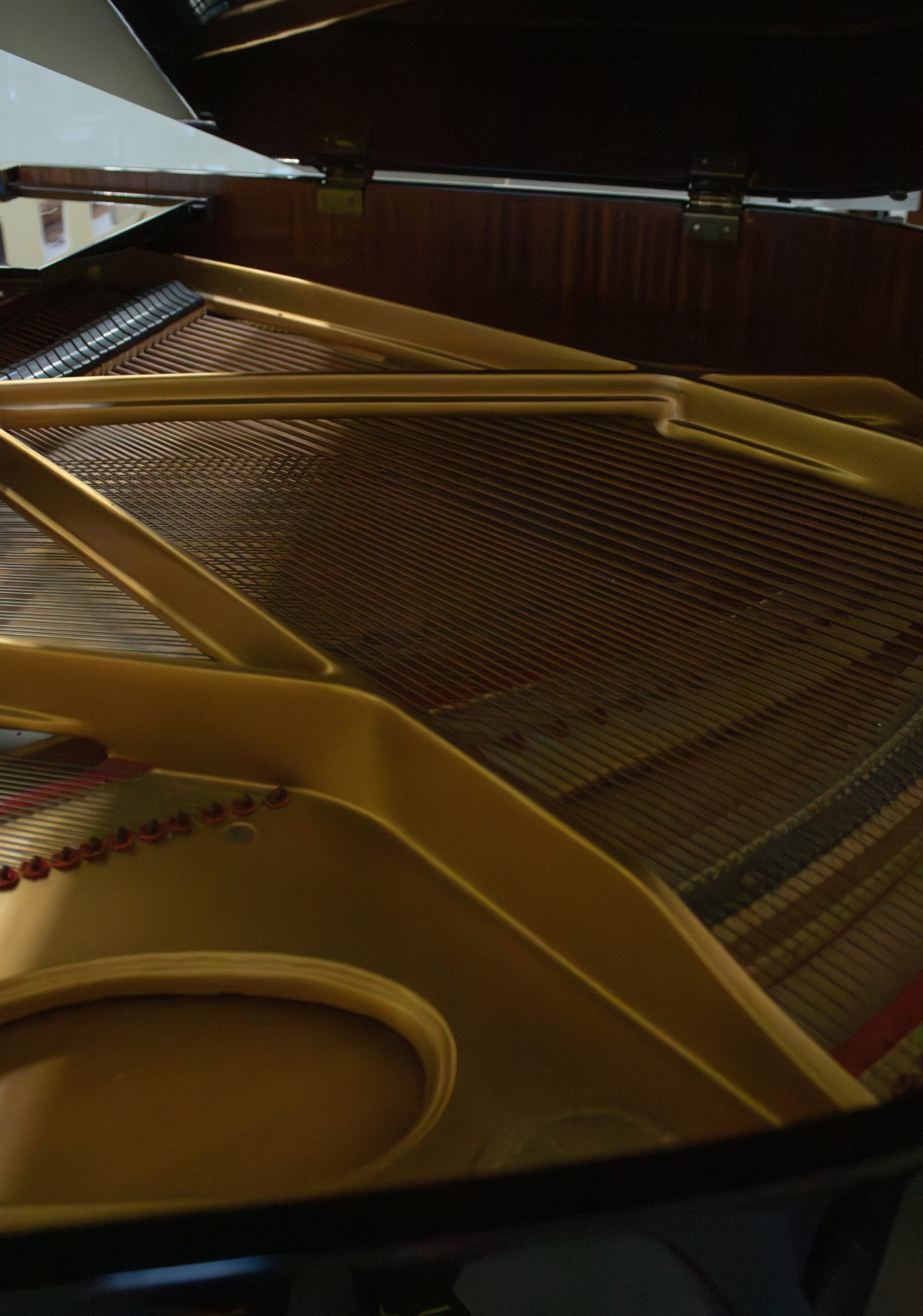 détails-cordes-niendrof Gebr Niendorf 150