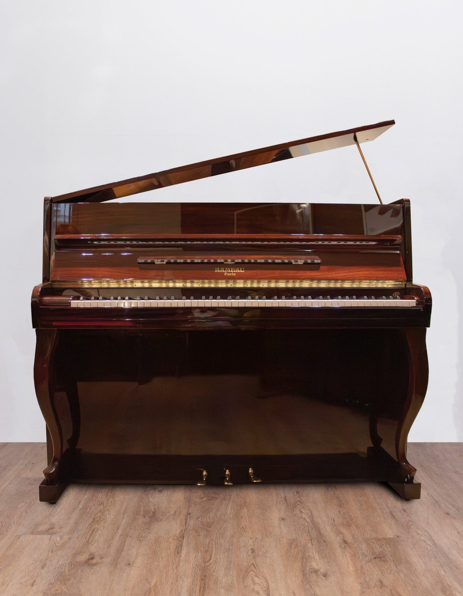 Rameau-beau-face Rameau Beaugency