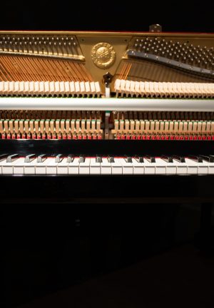 Yamaha B1 Silent SC1