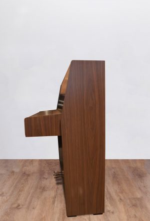 Fazer domino chêne satiné-coté