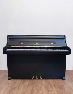 Schimmel-face (1) Schimmel Menuet