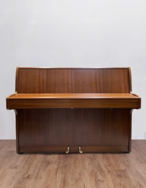 Steinman-face-fermé (1)