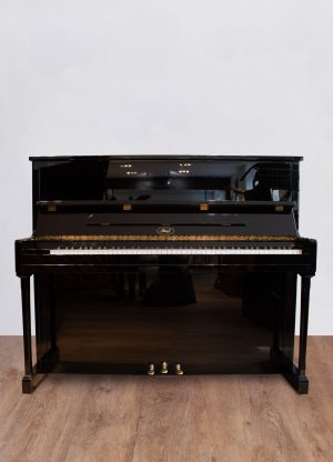 ibach-face Ibach 120 Série Spéciale