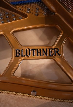 bluthner-model10-logo piano bluthner model 10 détail du cadre avec logo intérieur