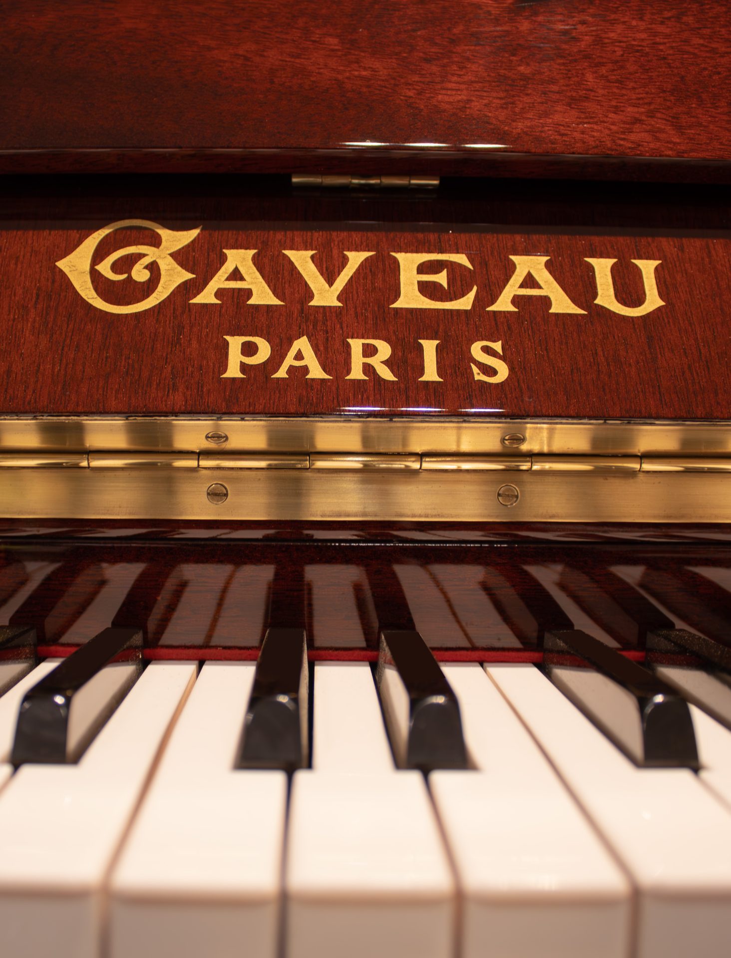 gaveau-logo