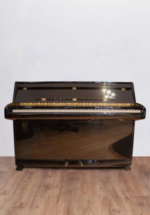 Schimmel-face-1.jpg Schimmel Capriccio