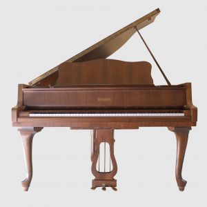 Schimmel-queue-noyer-vue-de-face.jpg Schimmel Chippendale