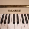 rameau-ivoir-logo.jpg